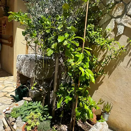 Mediterranes Ferienhaus M. Terrasse Veli Losinj Exterior photo