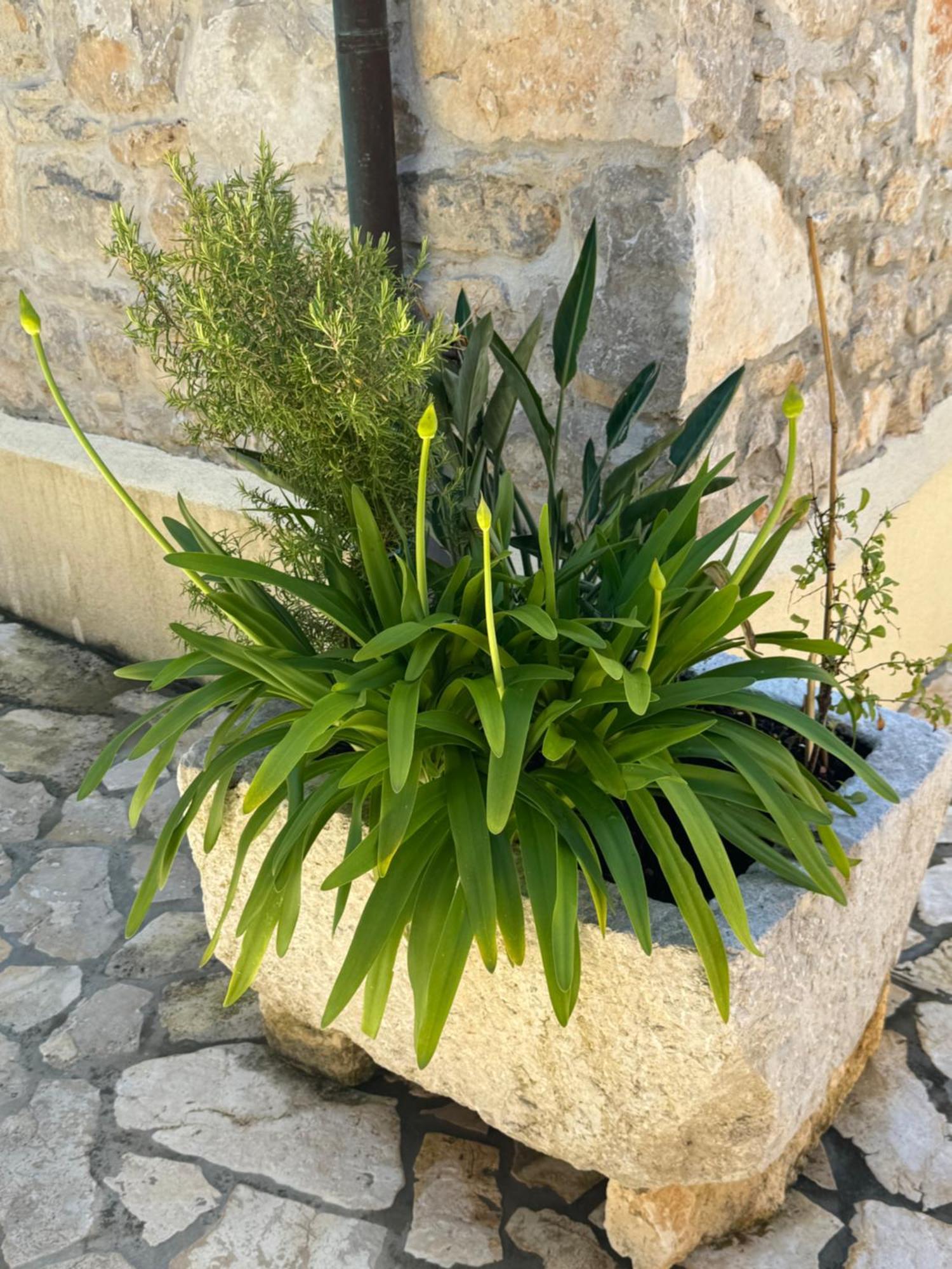 Mediterranes M. Terrasse Apartment *