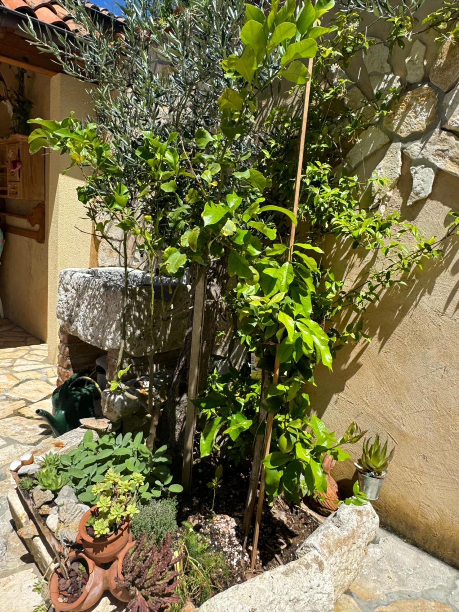 Apartment Mediterranes M. Terrasse *